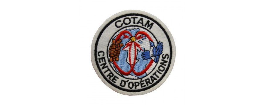 Commandement du Transport Aérien Militaire