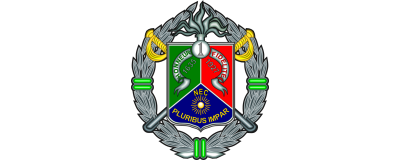 1° Régiment Etranger de Cavalerie