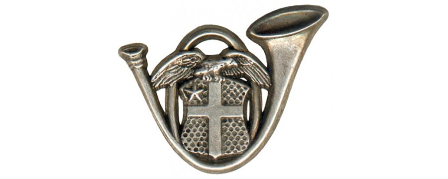 13° bataillon De Chasseurs Alpins