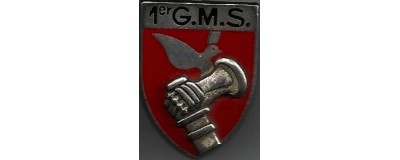 1° Groupement De Missiles Stratégiques