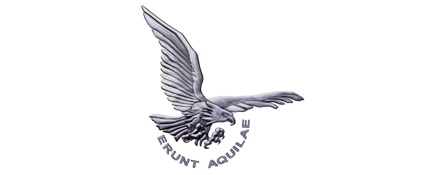 École de l'aviation légère de l'Armée de terre