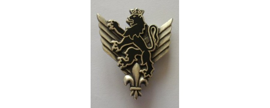 6° Régiment d'Hélicoptères de Combat