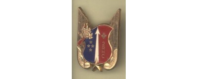 2° Régiment d'Hélicoptères de Combat