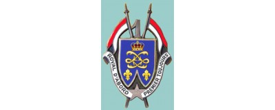 1° Régiment De Dragons