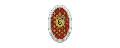 6° Régiment De Dragons